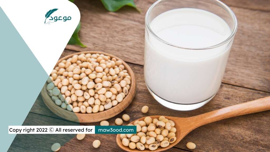 أطعمة غنية بالبروتين النباتي