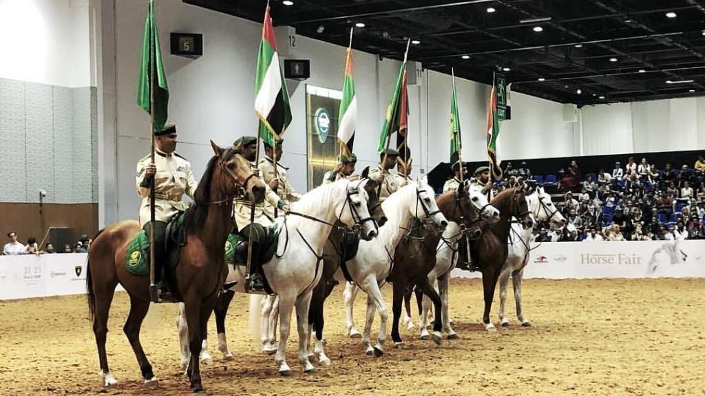 معرض دبي الدولي للخيول 2023