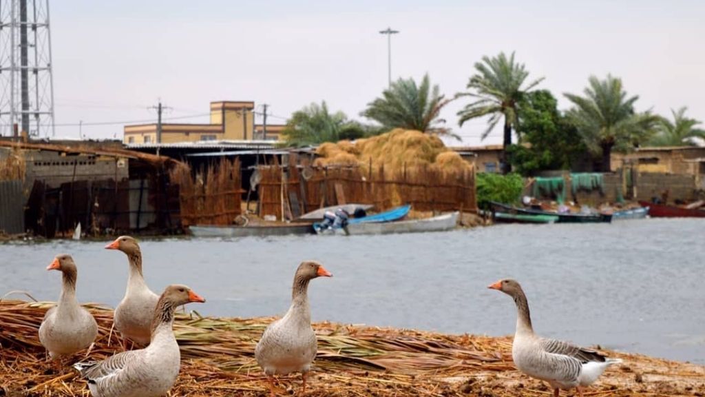 مقاطعة الفلاحية (منطقة إيرانية)