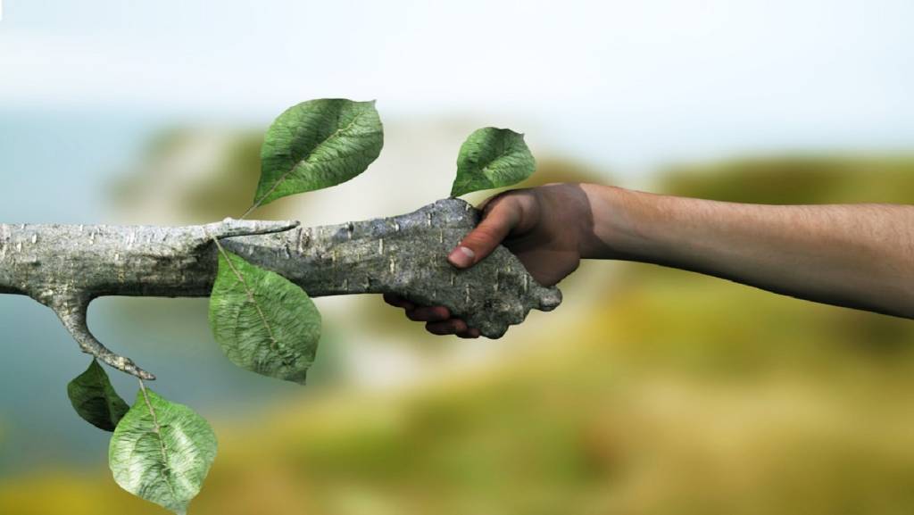 Protect Nature On Journey 5 AradMag 1
