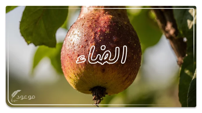 اسم فاكهة تبدأ بحرف الظاء