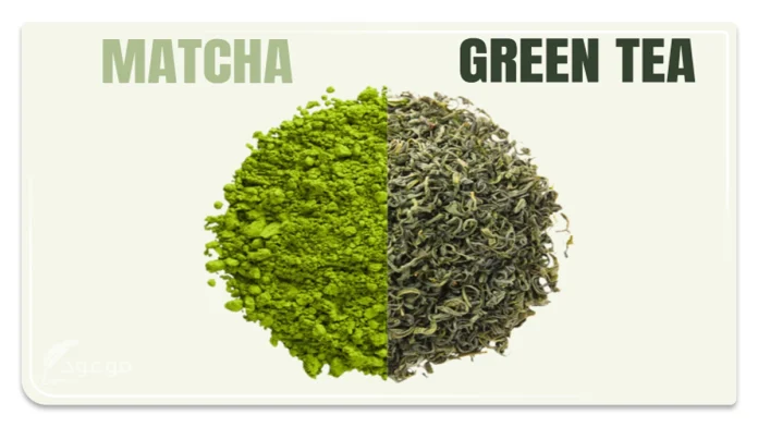 الفرق بين شاي الماتشا والشاي الأخضر: أيهما أفضل للصحة؟